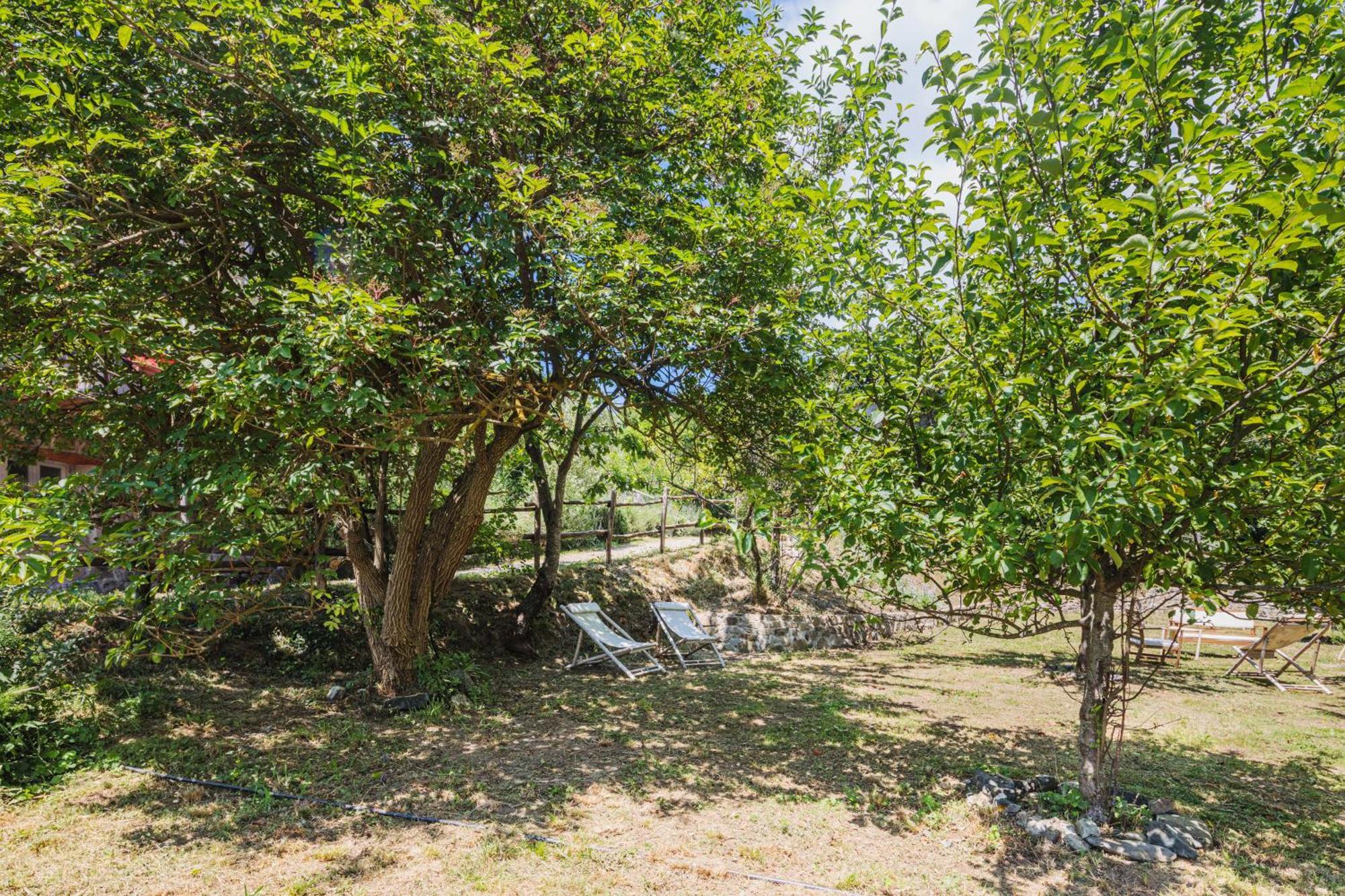 Agriturismo Di Charme E Ristorante Stallato Il Filo Di Paglia Carro Exteriör bild